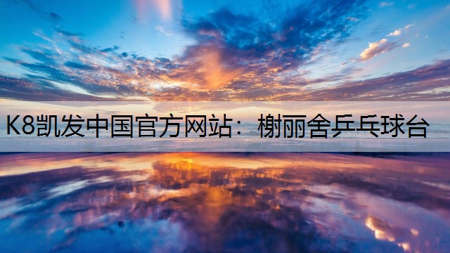 榭丽舍乒乓球台